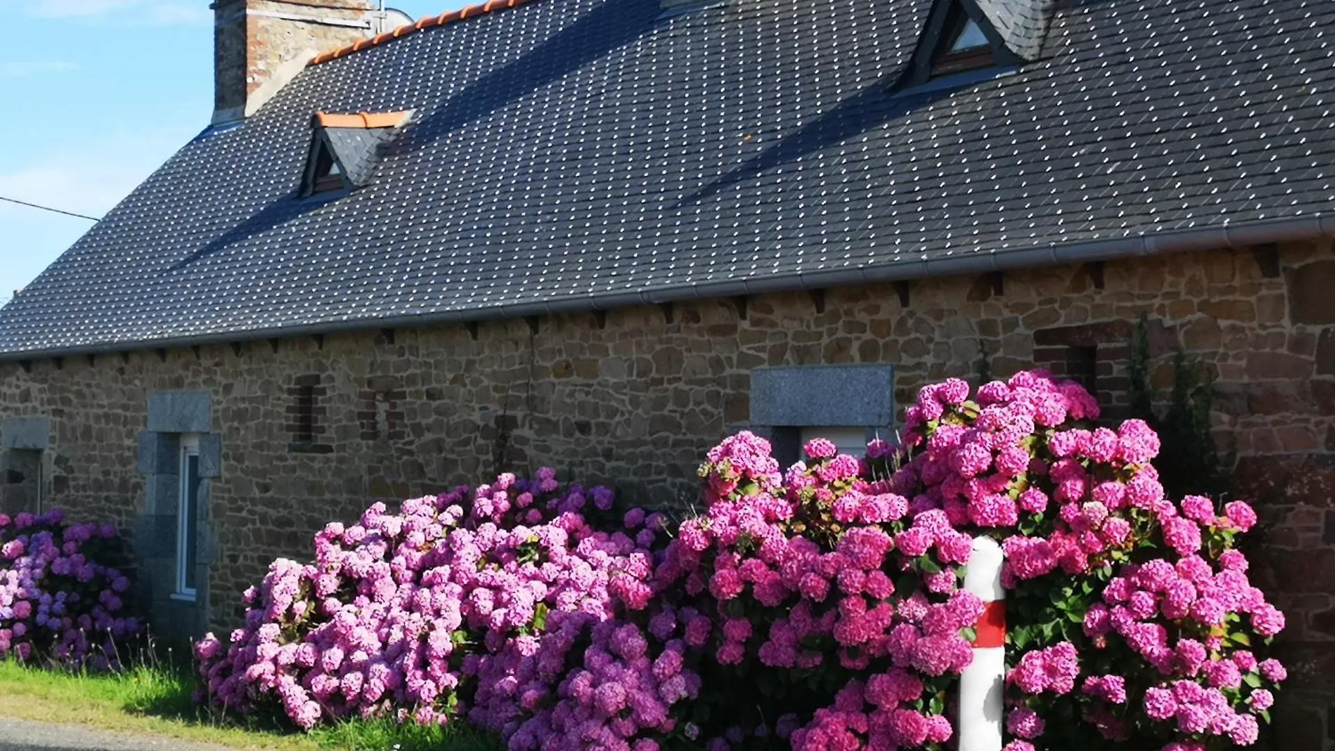 Gite Breton Sur La Cote De Granit Rose Pleudaniel Fransa